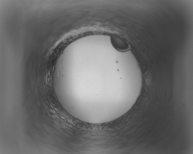 X0000085081495200703261244