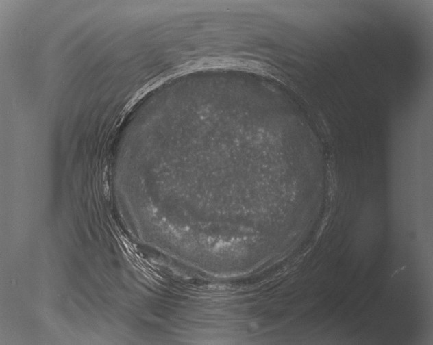 X0000085081497200703261244