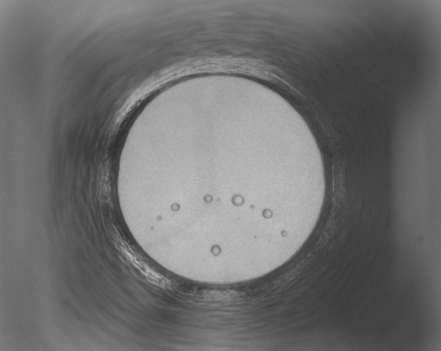 X0000085081498200703261244