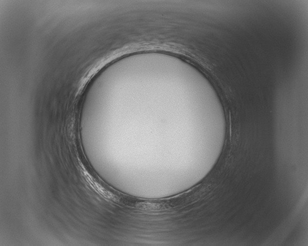 X0000085081500200703261244