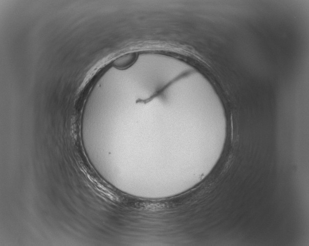 X0000085081501200703261244