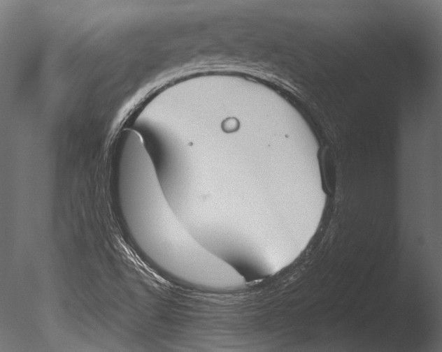 X0000085081502200703261244