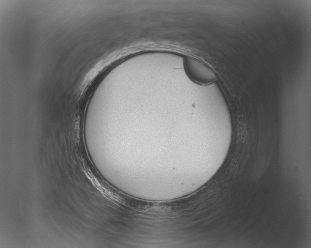 X0000085081503200703261244