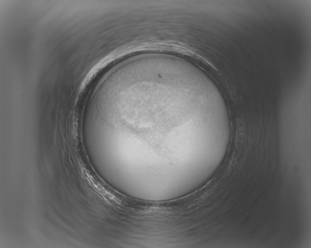 X0000085081506200703261244