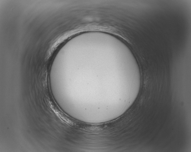 X0000085081507200703261244