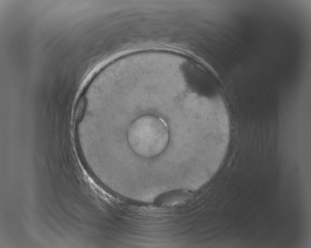 X0000085081508200703261244