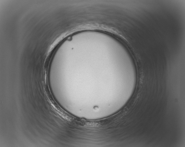 X0000085081509200703261244