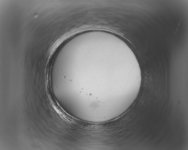 X0000085081511200703261244