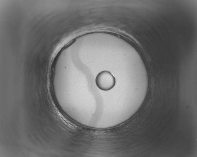 X0000085081512200703261244