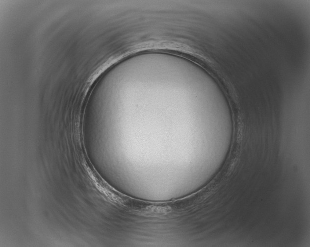 X0000085081513200703261244