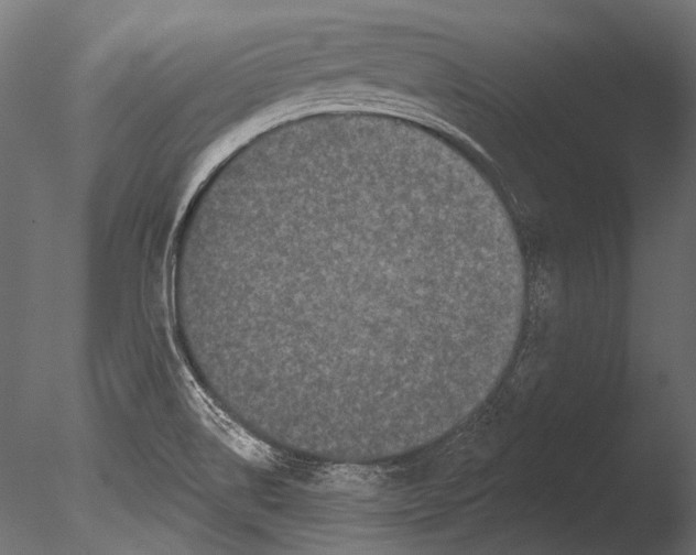 X0000085081514200703261244