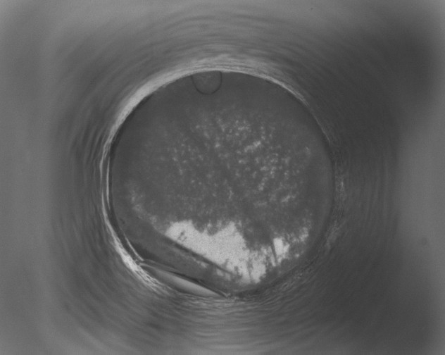 X0000085081515200703261244