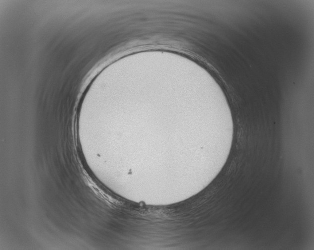 X0000085081516200703261244