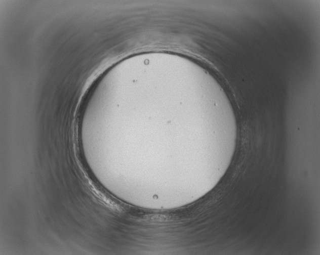 X0000085081517200703261244