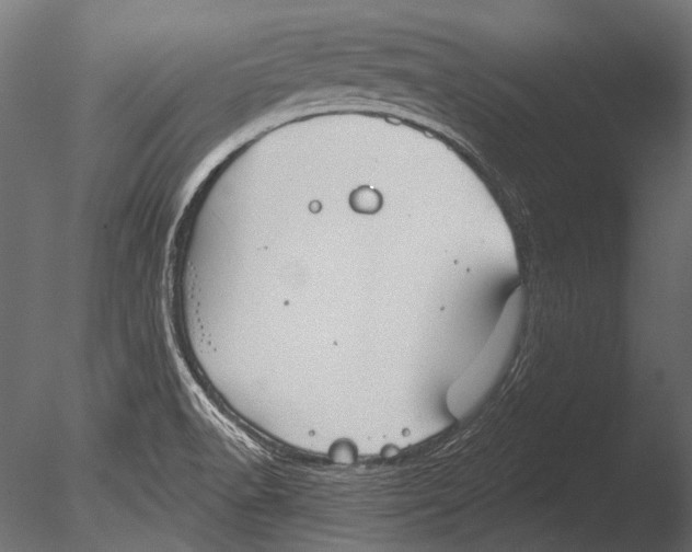 X0000085081518200703261244