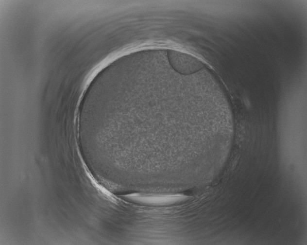 X0000085081519200703261244