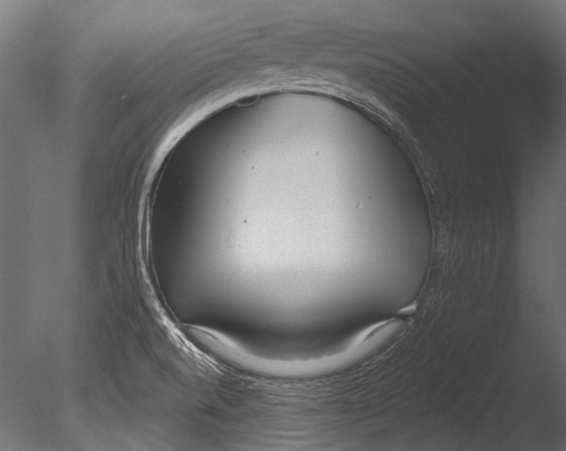 X0000085081520200703261244