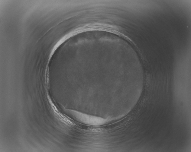 X0000085081522200703261244