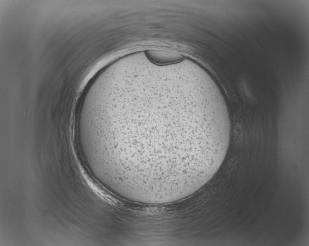 X0000085081523200703261244