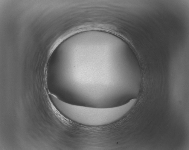 X0000085081524200703261244