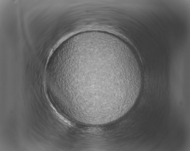 X0000085081525200703261244