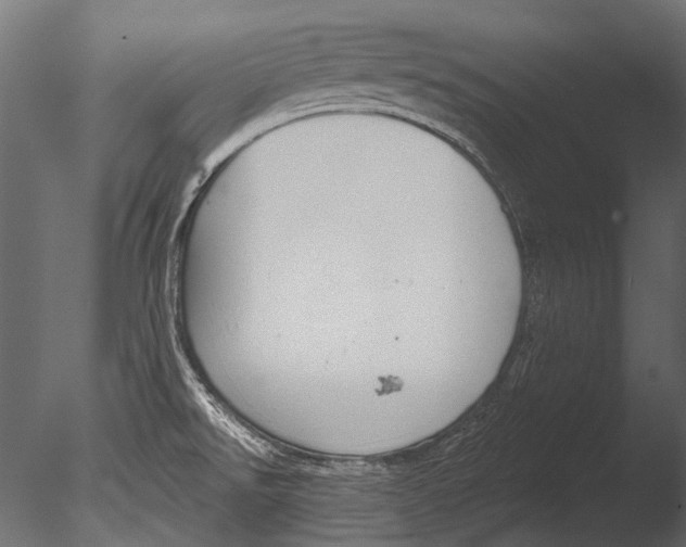 X0000085081526200703261244