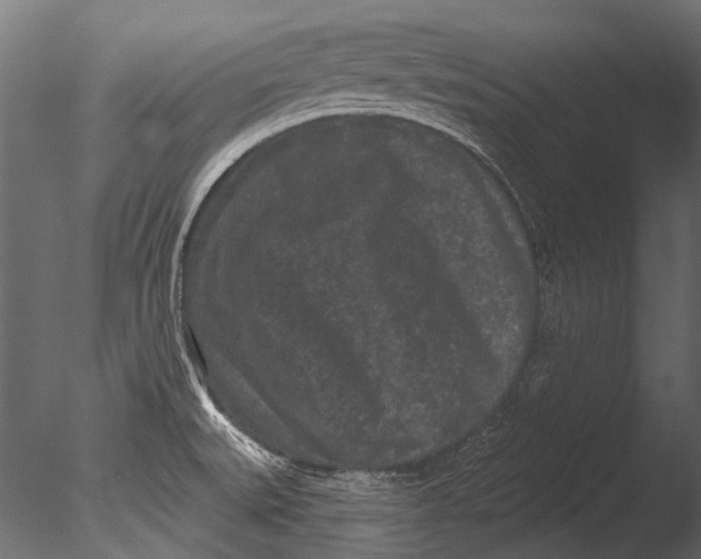 X0000085081527200703261244