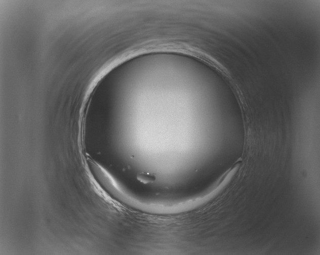 X0000085081528200703261245