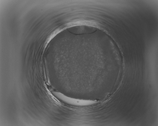 X0000085081529200703261245