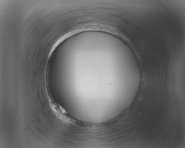 X0000085081530200703261245