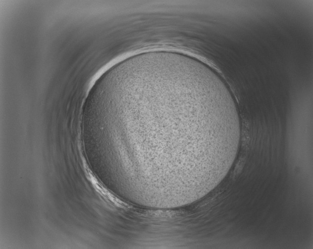 X0000085081534200703261245