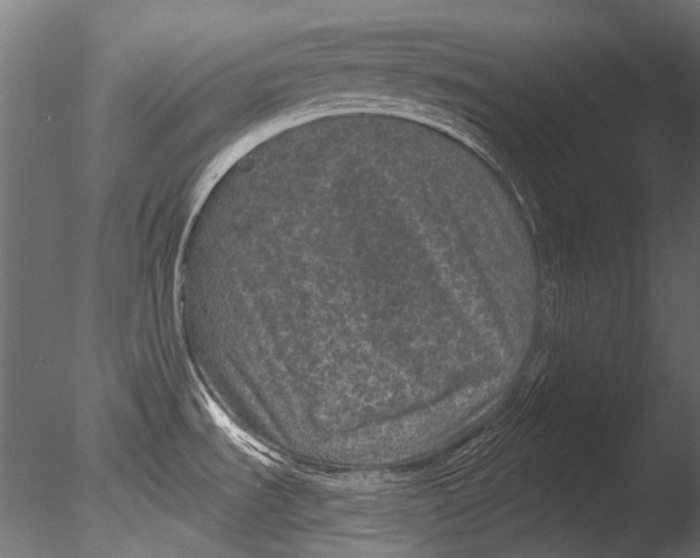 X0000085081535200703261245