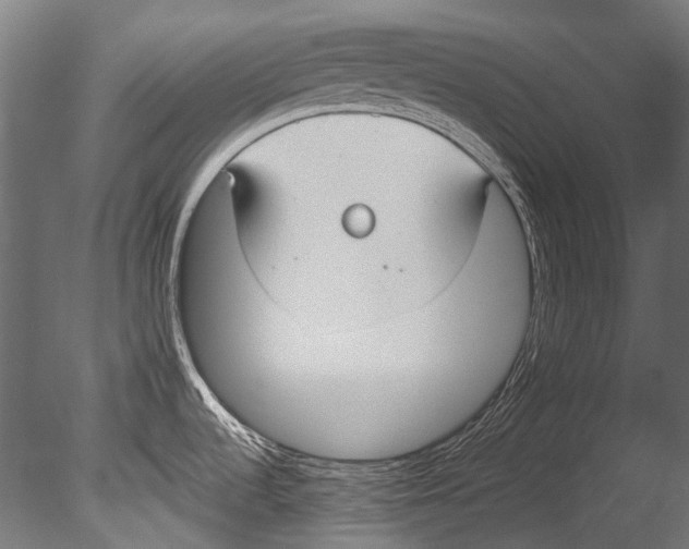 X0000085081536200703261245