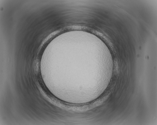 X0000085080016200704021448