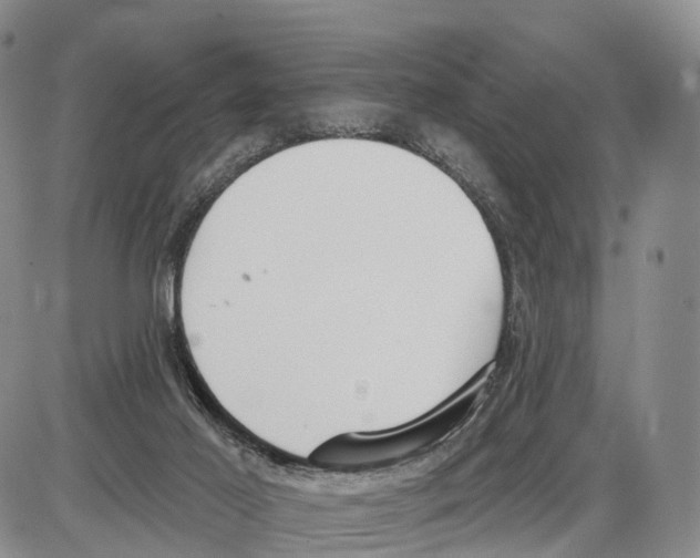 X0000085080021200704021448