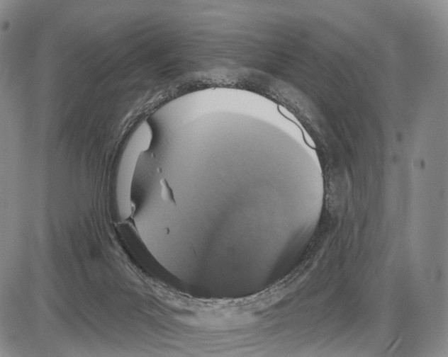 X0000085080023200704021448