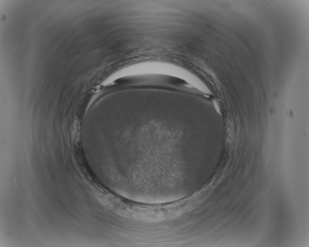 X0000085080029200704021448