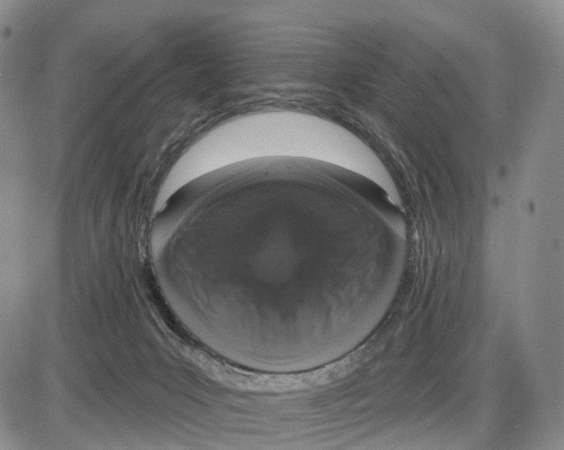 X0000085080031200704021448