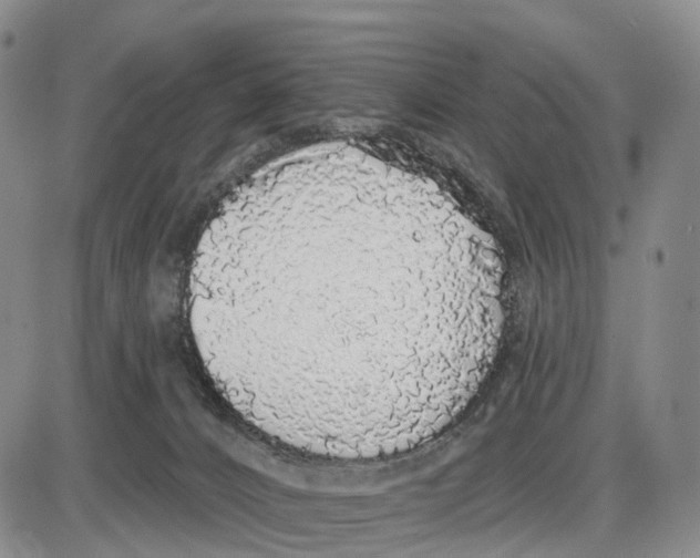 X0000085080032200704021448
