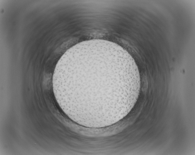 X0000085080034200704021448