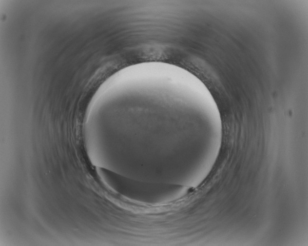 X0000085080035200704021448