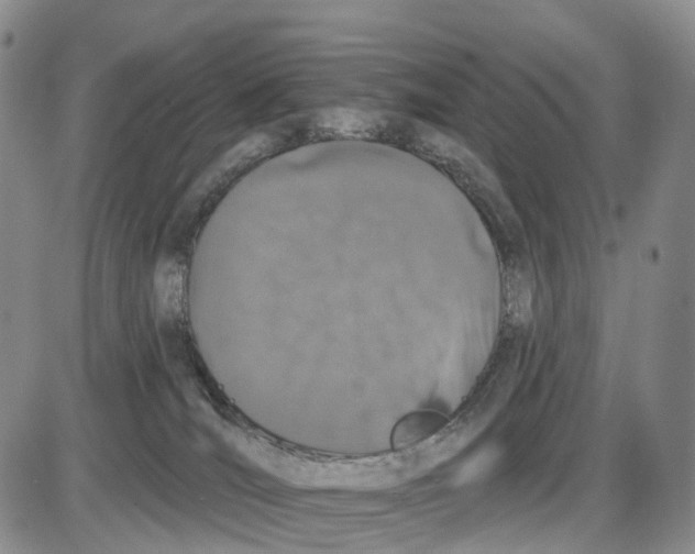 X0000085080036200704021448
