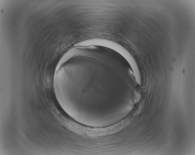 X0000085080039200704021448