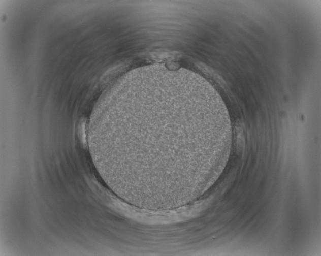 X0000085080042200704021448