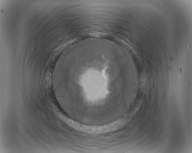 X0000085080043200704021448