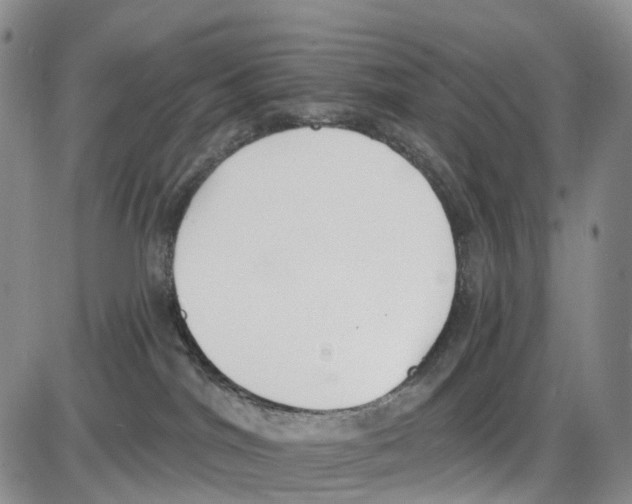 X0000085080044200704021448