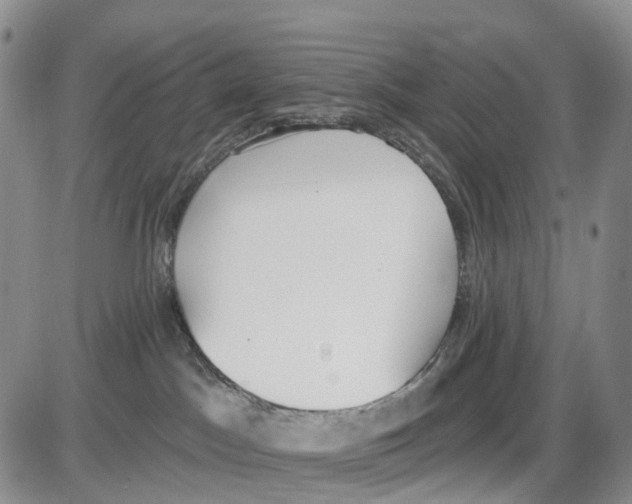 X0000085080045200704021448