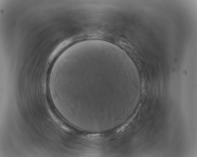 X0000085080054200704021447