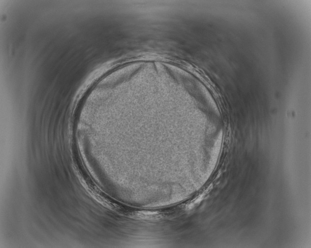 X0000085080055200704021447