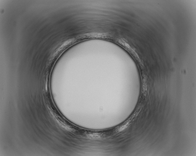 X0000085080062200704021447